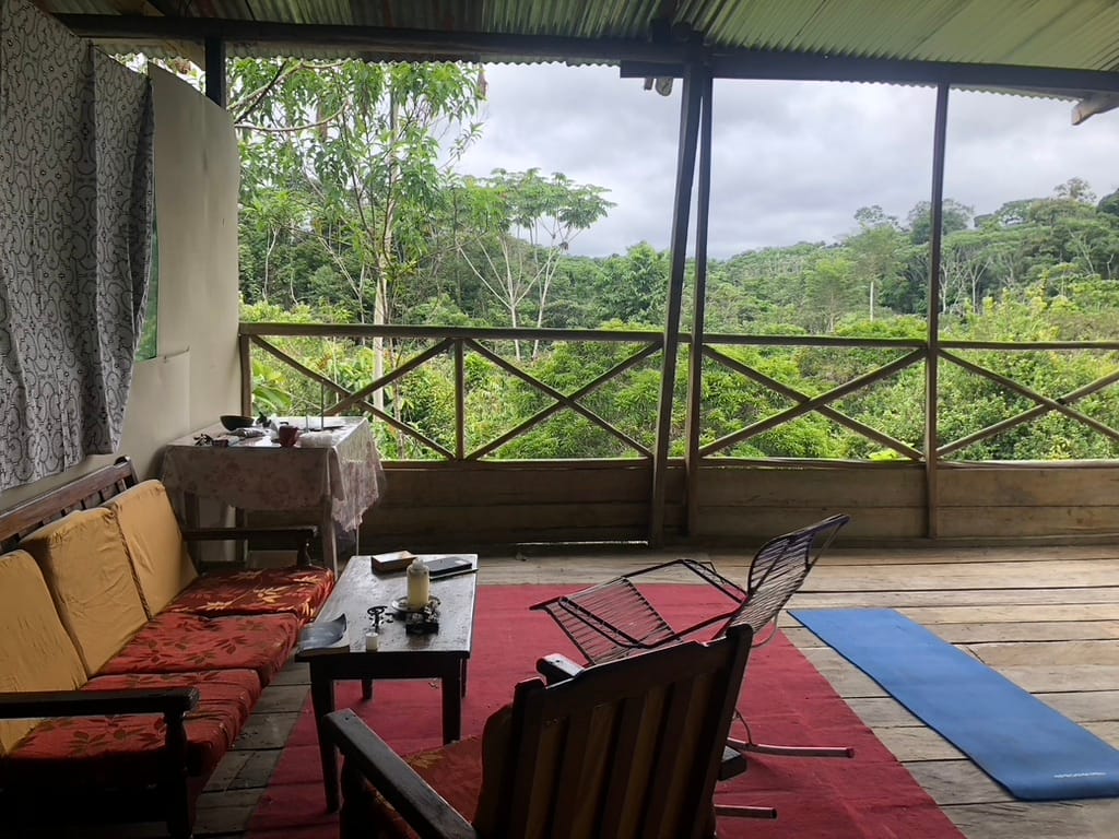 Being Well In An Unwell World