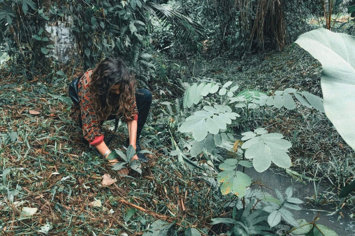 Are You A Tourist, Traveler Or Responsible?