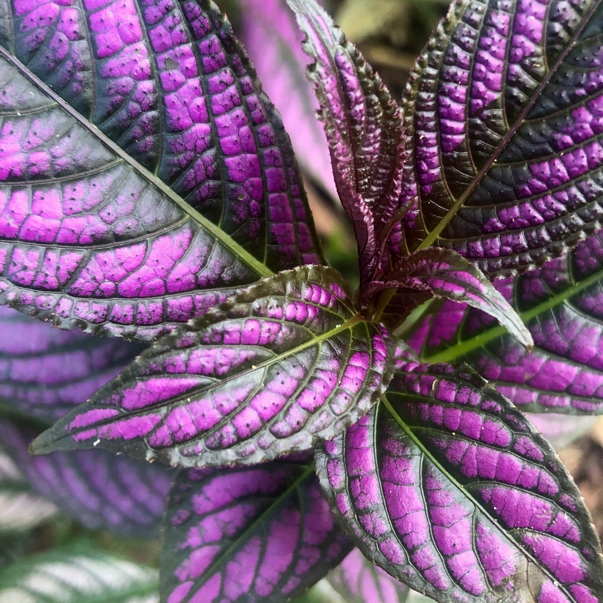 The World We Choose To Create