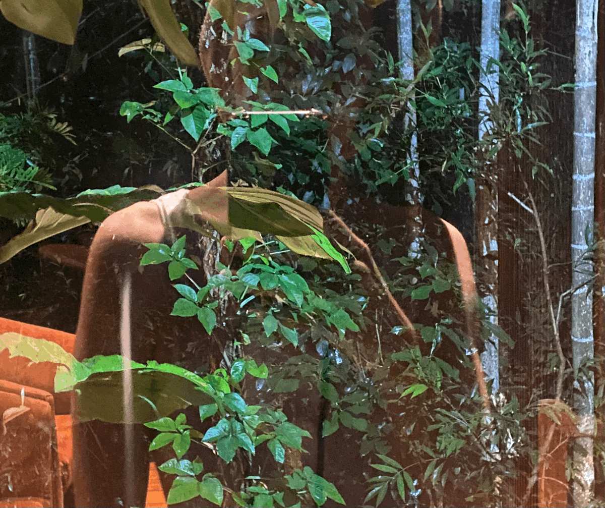 How do I know when I am listening to land?