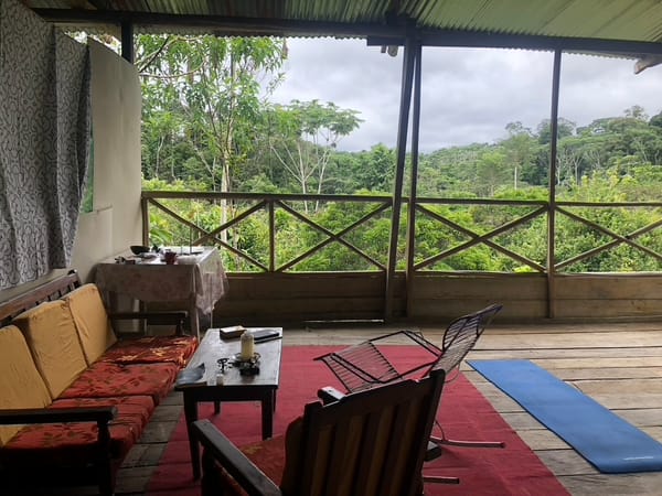 Being Well In An Unwell World