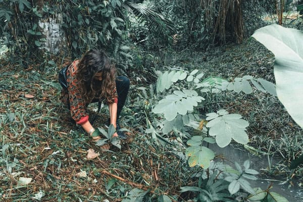 Are You A Tourist, Traveler Or Responsible?