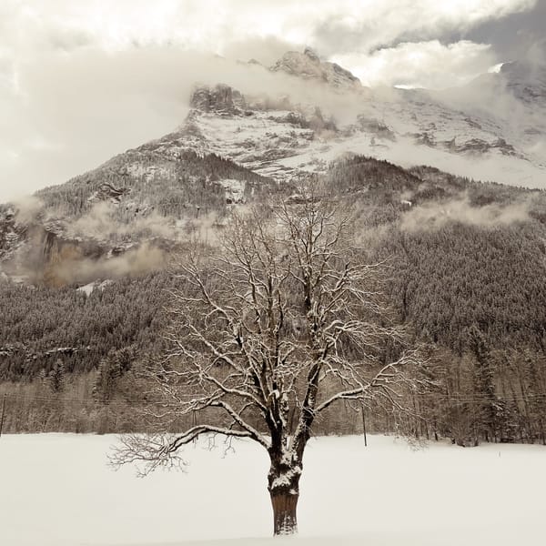 On Hosting Uncertainty