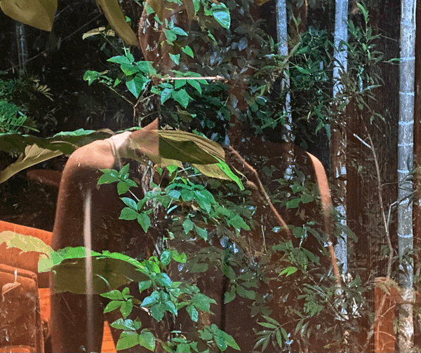 How do I know when I am listening to land?